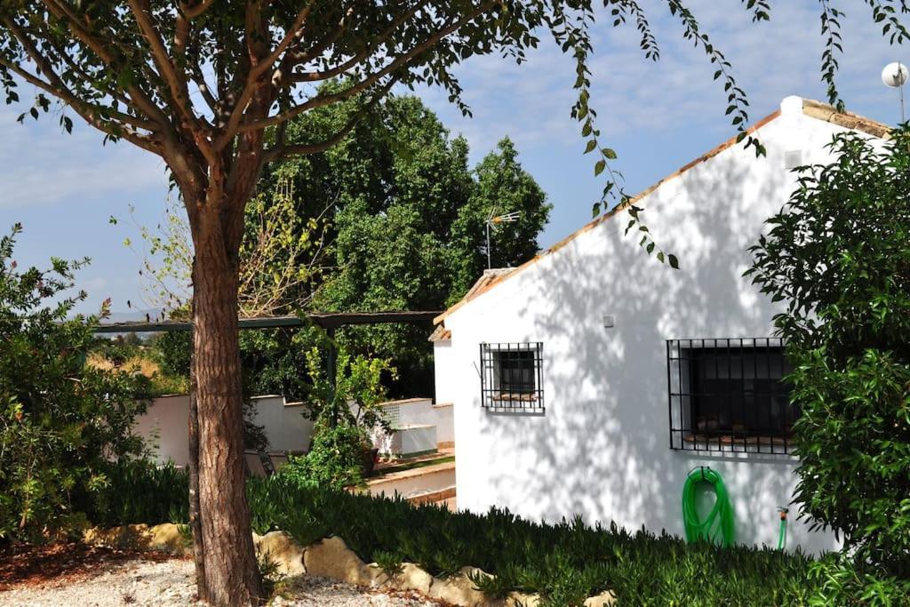 Vakantiehuis La Linana *